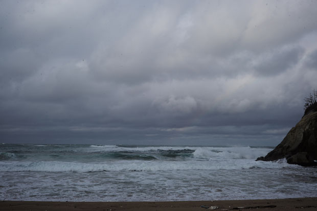 L1006241.jpg