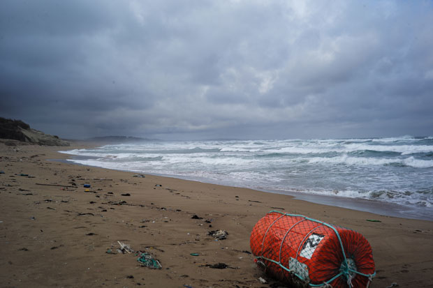L1006243.jpg