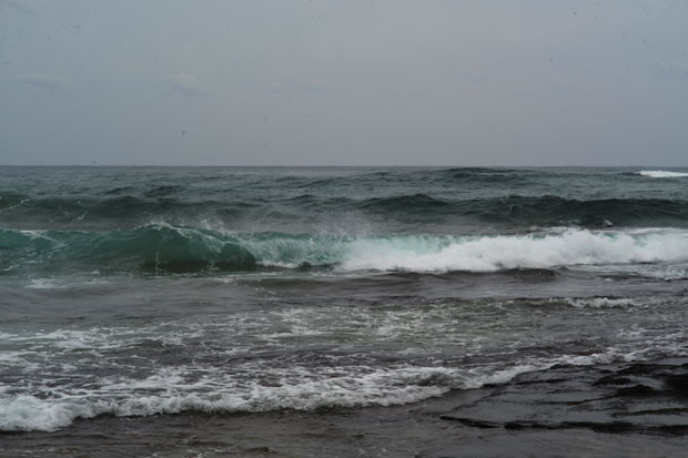 L1006409.jpg