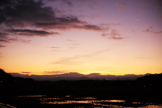 L1006479.jpg