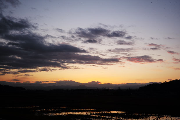 L1006500.jpg