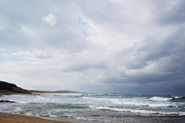 L1006545.jpg