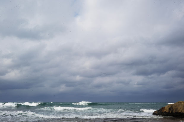 L1006547.jpg
