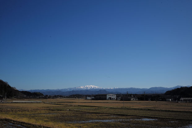 L1006608.jpg