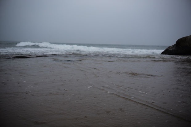 L1006633.jpg
