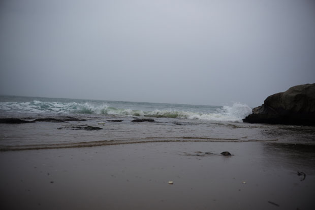 L1006634.jpg