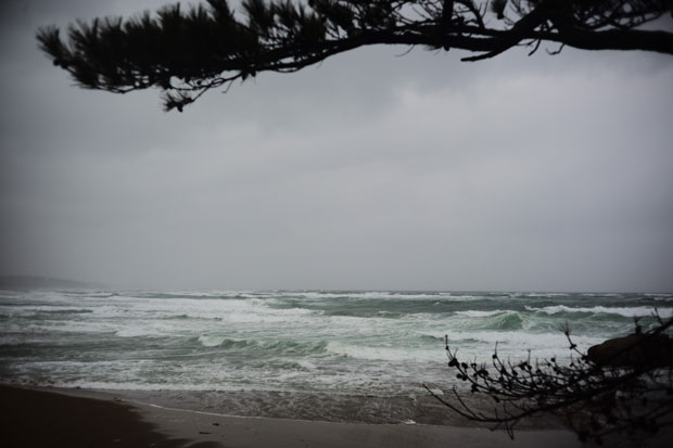 L1006953.jpg