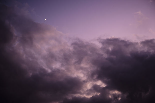 L1006985.jpg