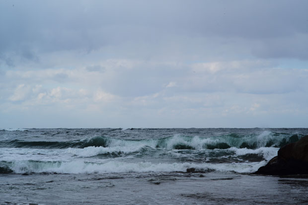 L1007080.jpg