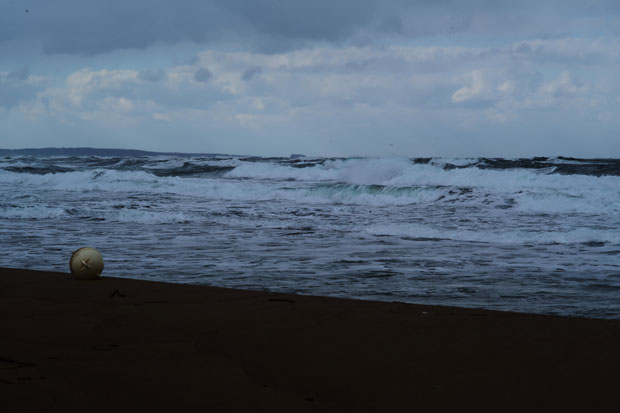 L1007094.jpg