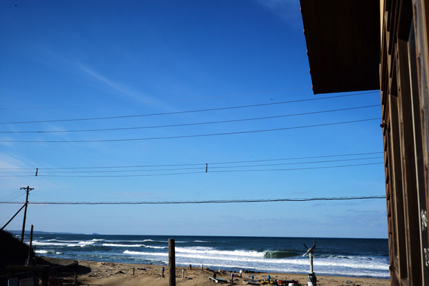 L1007174.jpg
