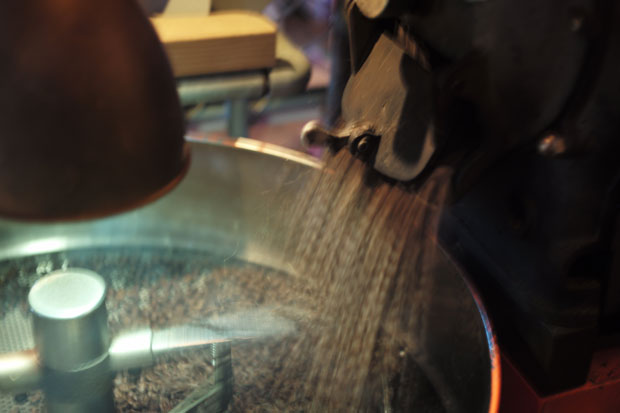 L1007219.jpg