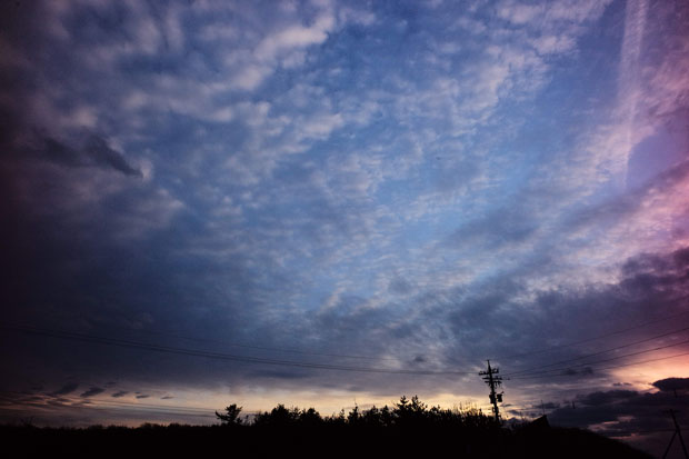 L1007232.jpg