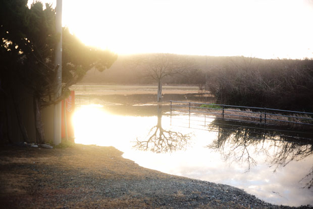 L1007319.jpg