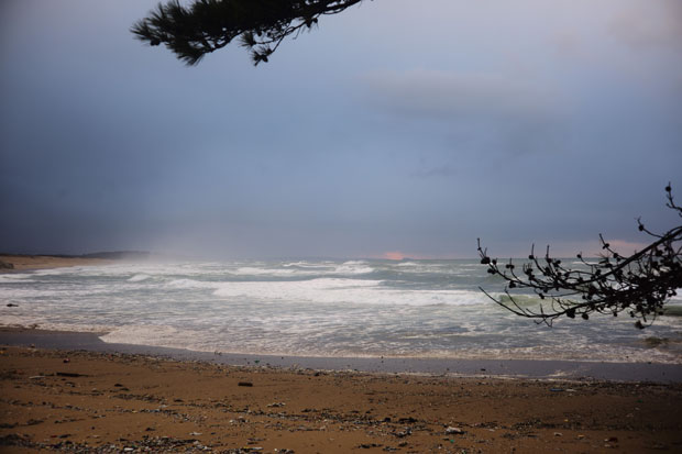 L1007344.jpg