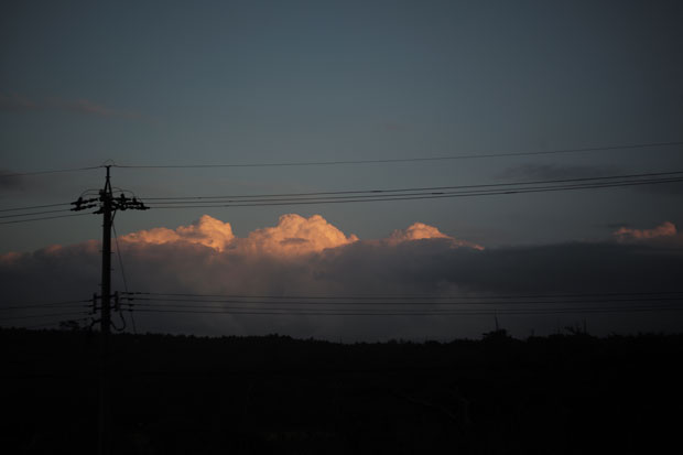 L1007442.jpg