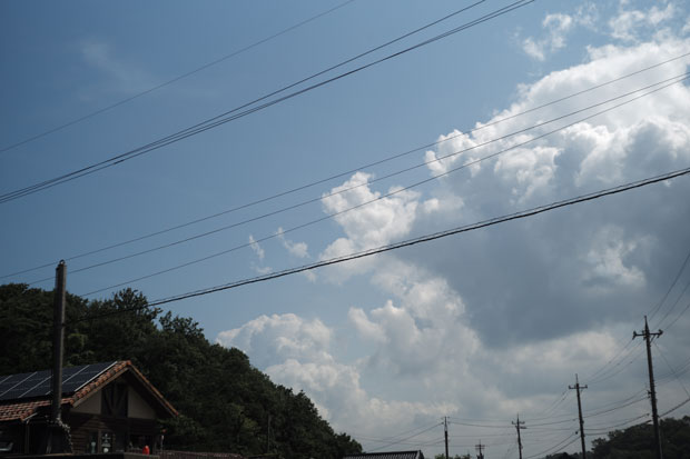 L1007485.jpg