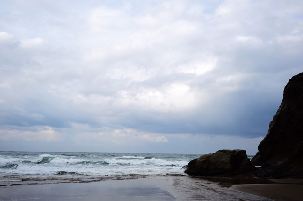 L1007579.jpg
