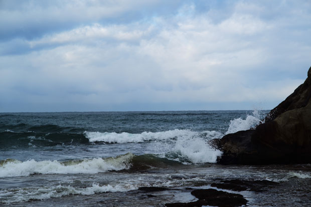 L1007616.jpg