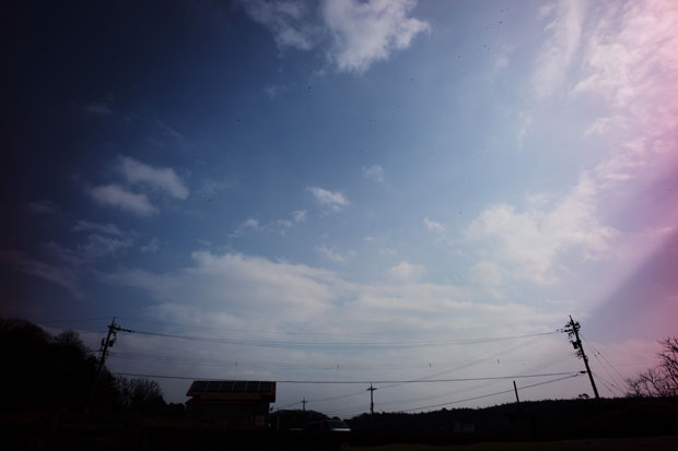 L1007862.jpg