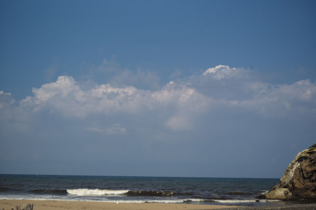 L1007968.jpg