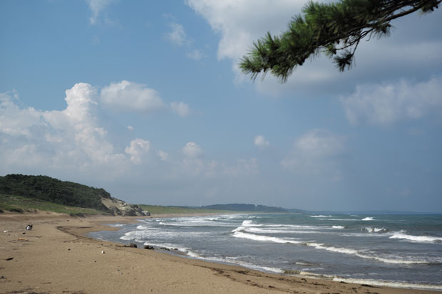 L1007969.jpg