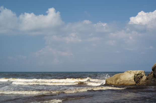 L1007979.jpg