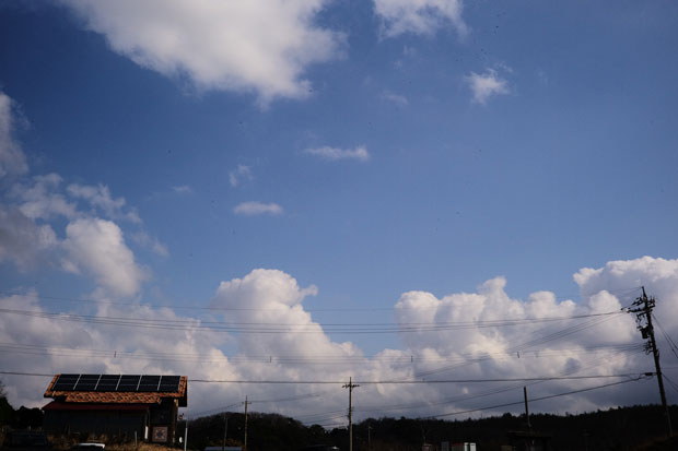 L1008008.jpg