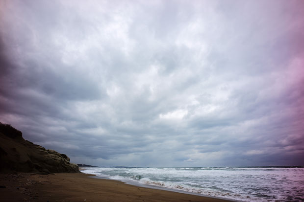 L1008400.jpg