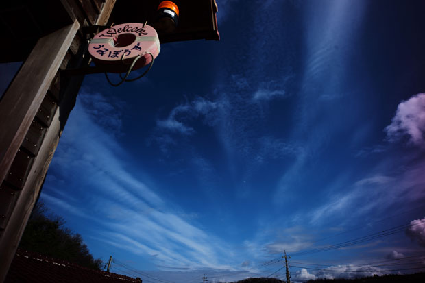 L1008500.jpg