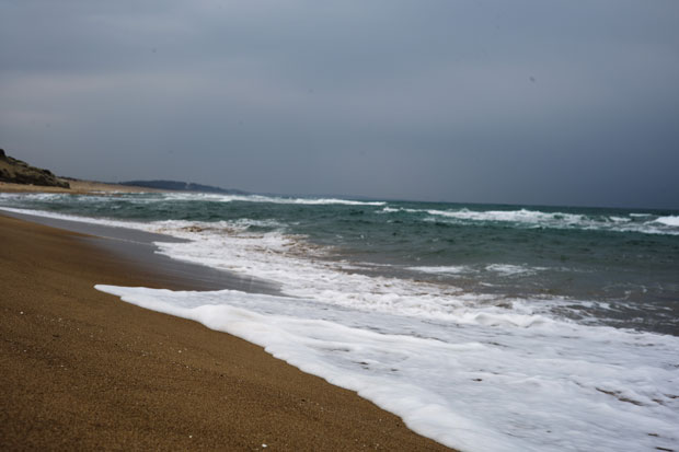 L1008544.jpg
