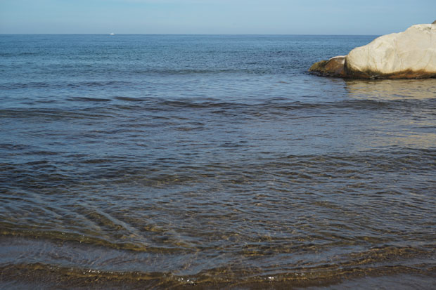 L1008732.jpg