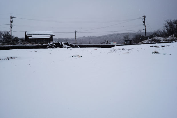 L1008975.jpg