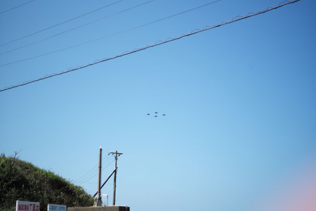 L1009254.jpg