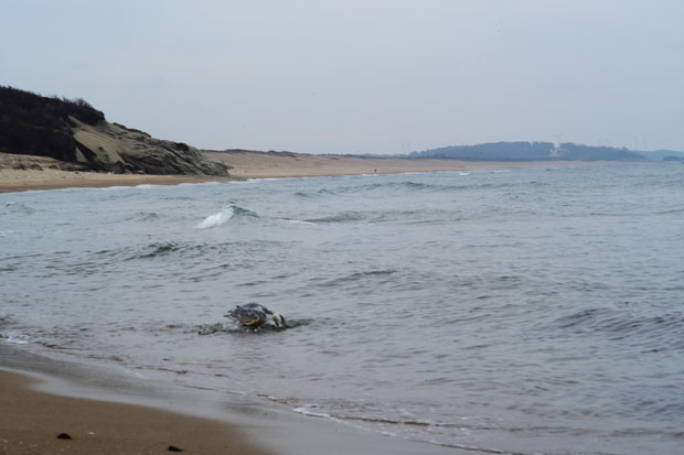 L1009290.jpg