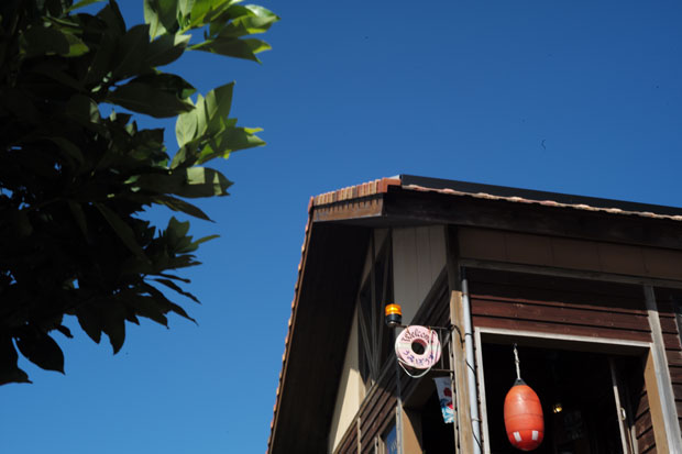 L1009340.jpg