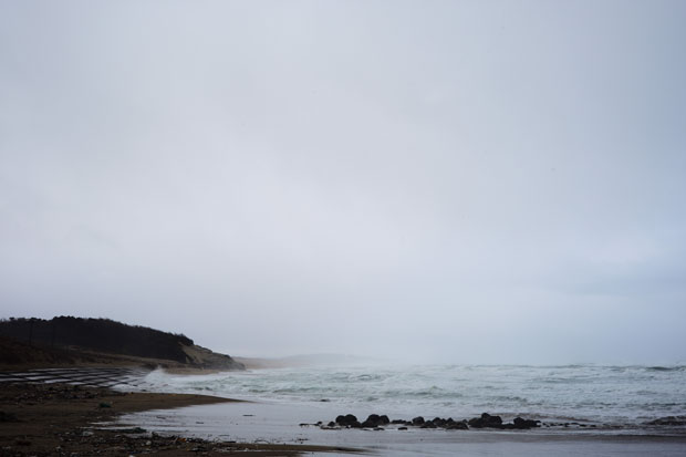 L1009472.jpg