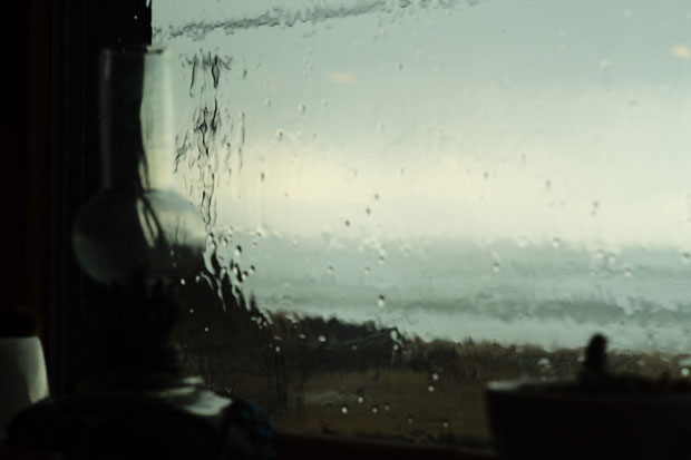 L1009496.jpg