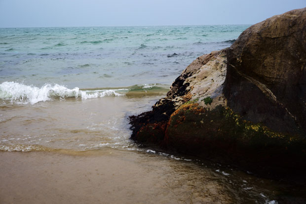 L1009734.jpg