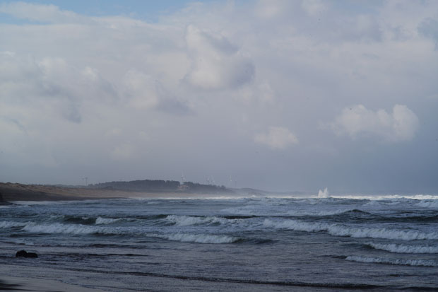 L1009810.jpg