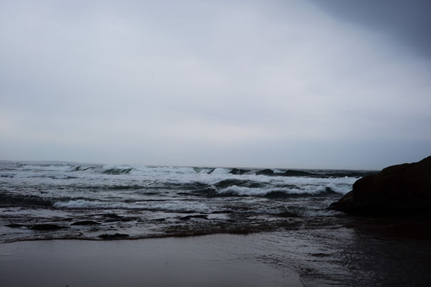 L1009920.jpg