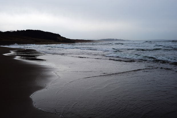 L1009921.jpg