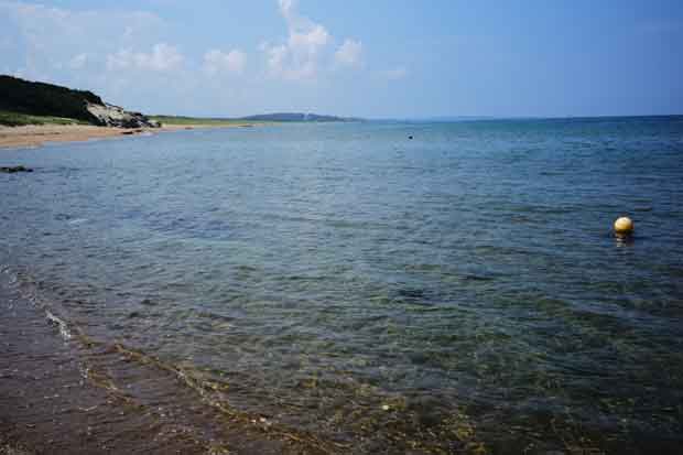L1013161.jpg