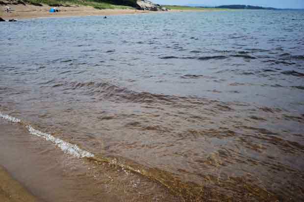 L1013311.jpg