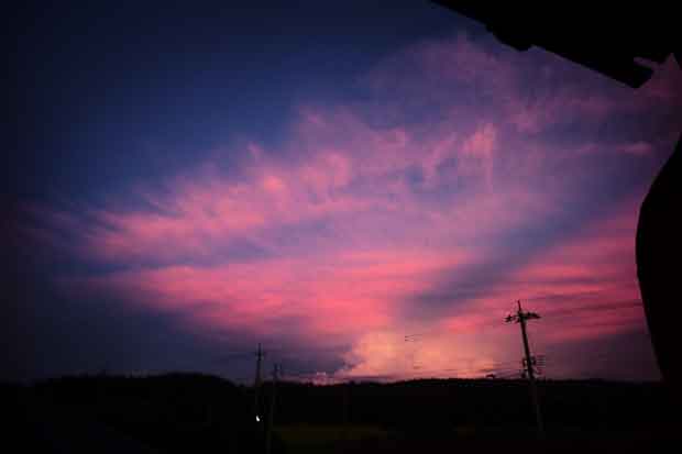 L1013430.jpg