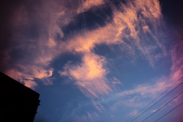 L1013714.jpg