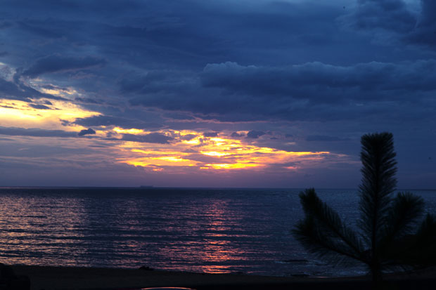 L1013796.jpg