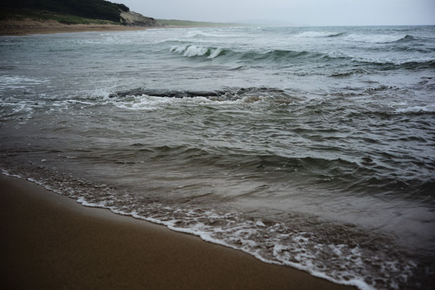L1014337.jpg