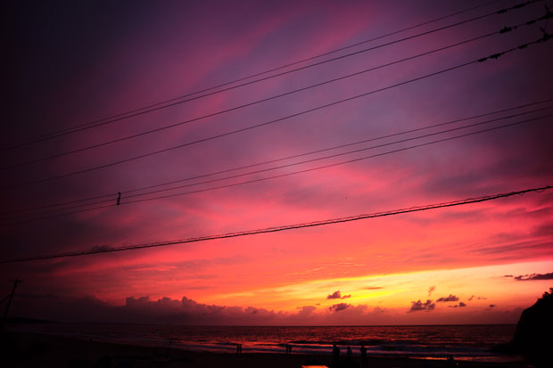 L1014528.jpg