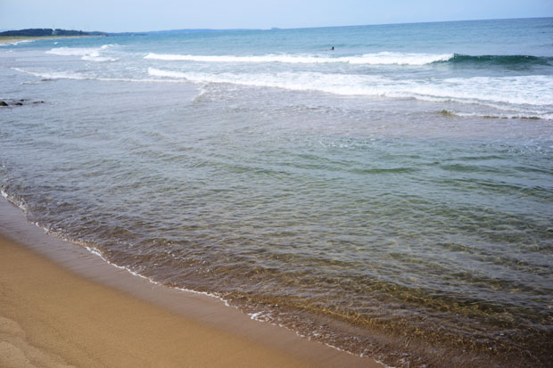 L1014585.jpg